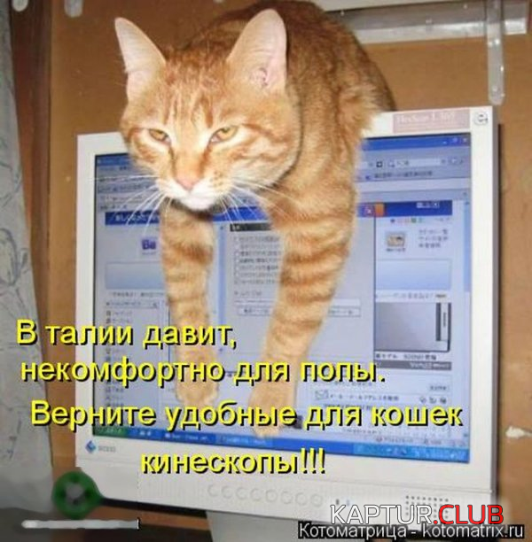 1.png | Рено Каптур Клуб Россия | Форум KAPTUR.SU