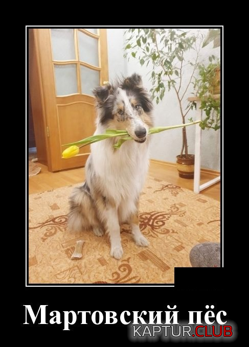 1.png | Рено Каптур Клуб Россия | Форум KAPTUR.SU