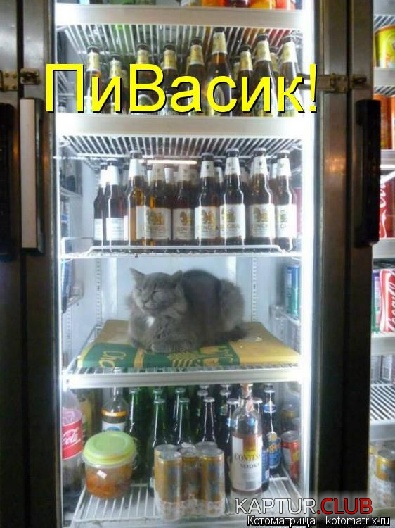 1.png | Рено Каптур Клуб Россия | Форум KAPTUR.SU