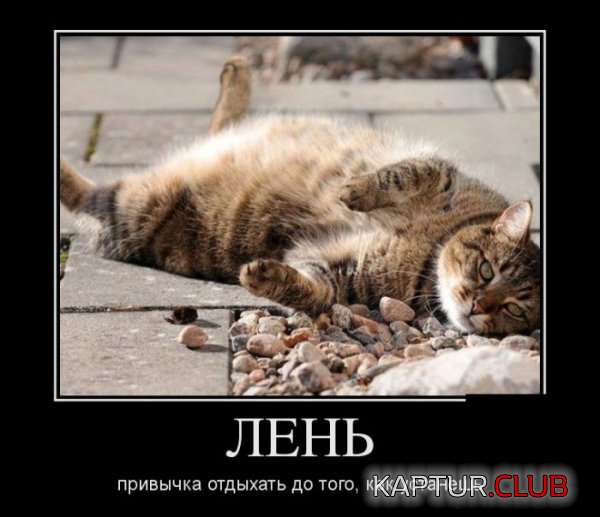 1.png | Рено Каптур Клуб Россия | Форум KAPTUR.SU