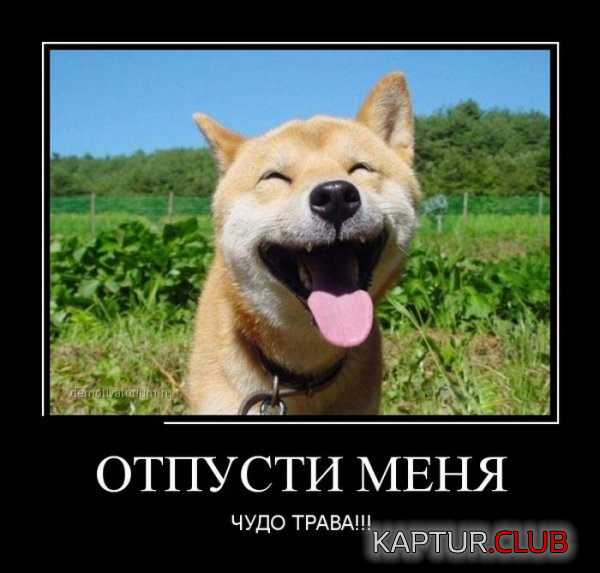 1.png | Рено Каптур Клуб Россия | Форум KAPTUR.SU