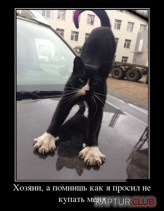1.png | Рено Каптур Клуб Россия | Форум KAPTUR.SU