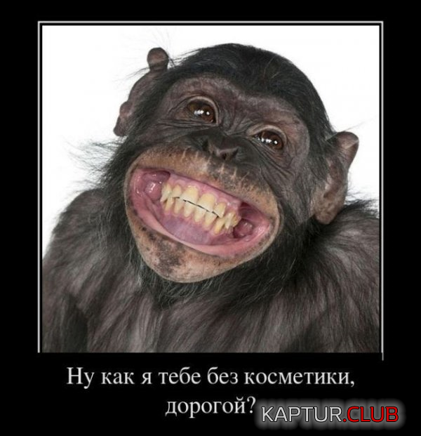 1.png | Рено Каптур Клуб Россия | Форум KAPTUR.SU