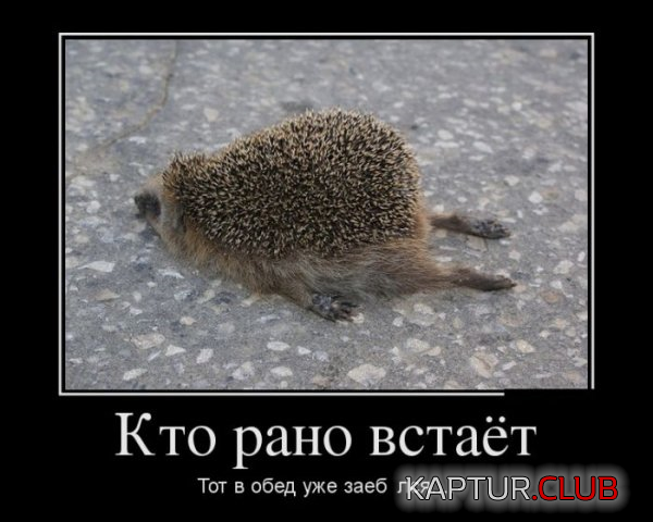 1.png | Рено Каптур Клуб Россия | Форум KAPTUR.SU
