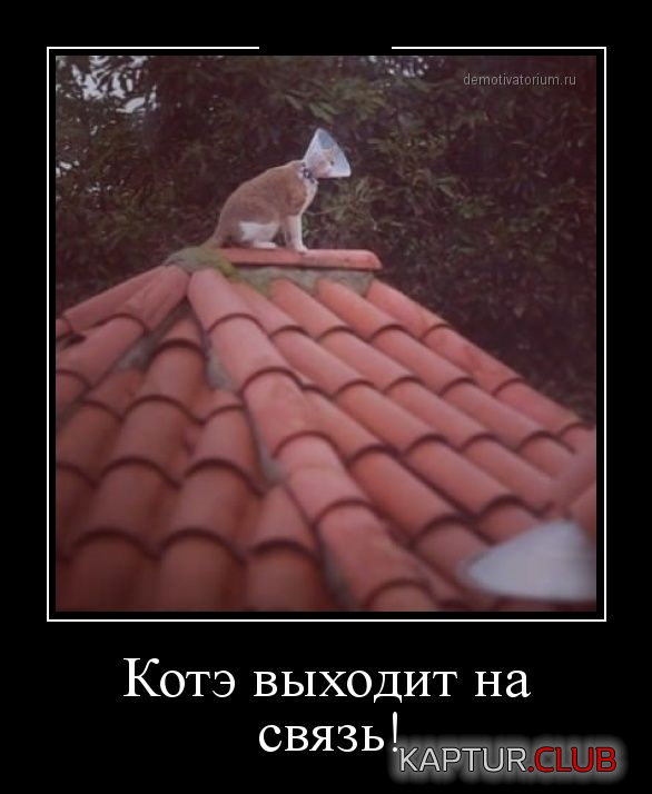 1.png | Рено Каптур Клуб Россия | Форум KAPTUR.SU