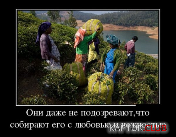 1.png | Рено Каптур Клуб Россия | Форум KAPTUR.SU