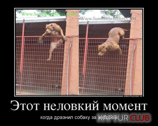 1.png | Рено Каптур Клуб Россия | Форум KAPTUR.SU