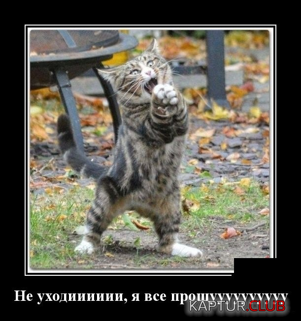1.png | Рено Каптур Клуб Россия | Форум KAPTUR.SU