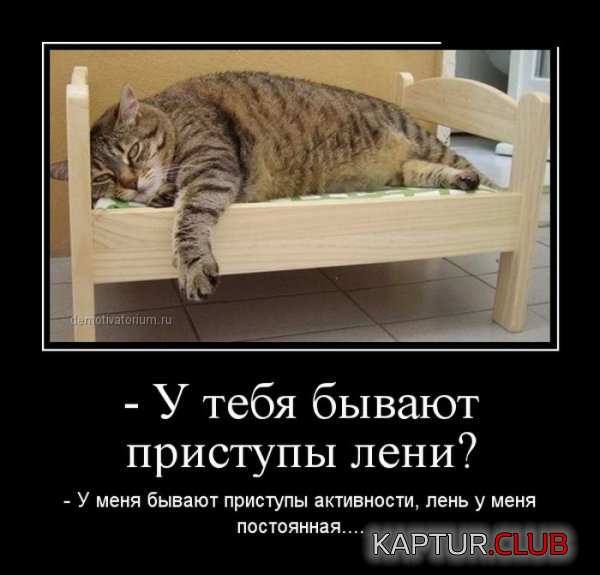 1.png | Рено Каптур Клуб Россия | Форум KAPTUR.SU