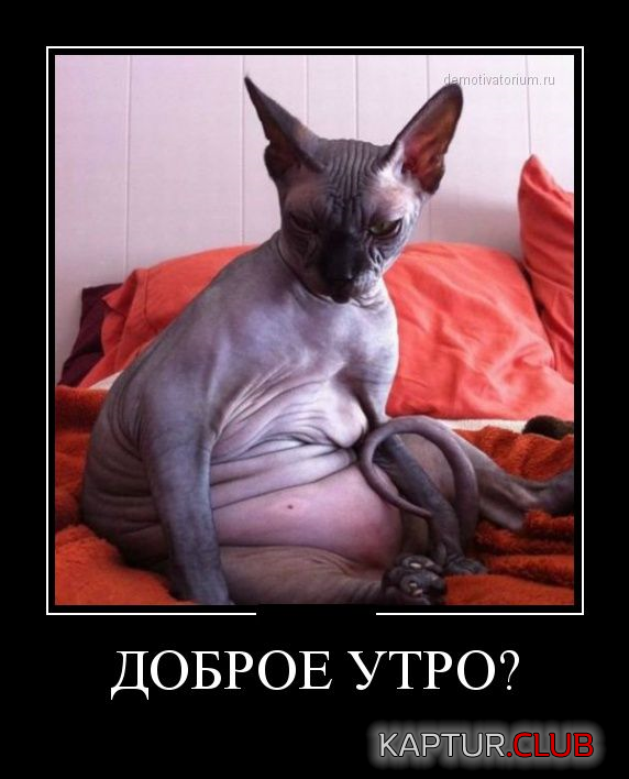 1.png | Рено Каптур Клуб Россия | Форум KAPTUR.SU