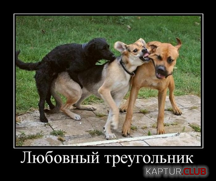 1.png | Рено Каптур Клуб Россия | Форум KAPTUR.SU