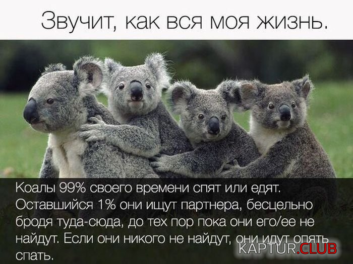 1.png | Рено Каптур Клуб Россия | Форум KAPTUR.SU