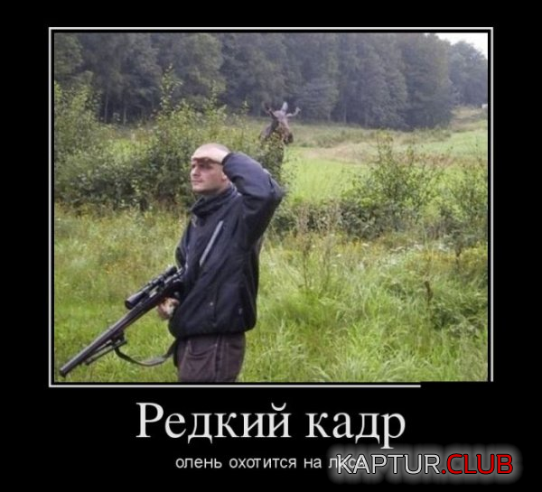 1.png | Рено Каптур Клуб Россия | Форум KAPTUR.SU