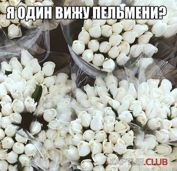 1.png | Рено Каптур Клуб Россия | Форум KAPTUR.SU