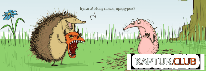 100013.gif | Рено Каптур Клуб Россия | Форум KAPTUR.SU