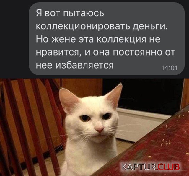1010.jpg | Рено Каптур Клуб Россия | Форум KAPTUR.SU
