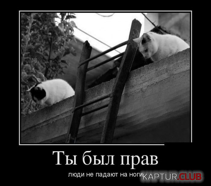 10528.jpg | Рено Каптур Клуб Россия | Форум KAPTUR.SU