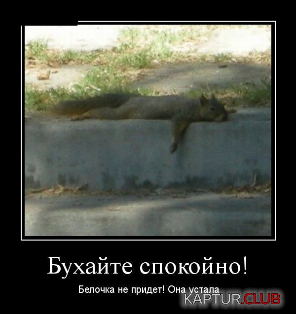10629594.jpg | Рено Каптур Клуб Россия | Форум KAPTUR.SU
