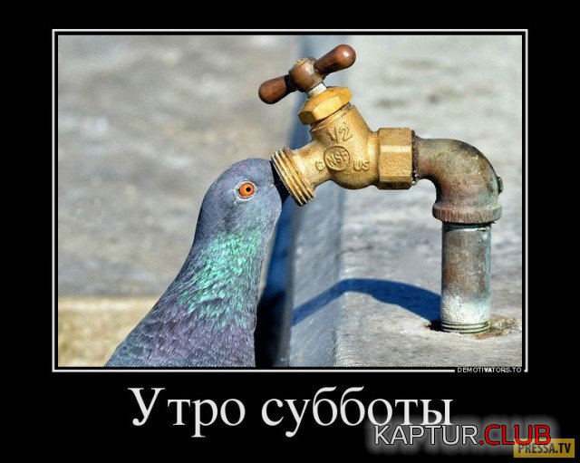 10629605.jpg | Рено Каптур Клуб Россия | Форум KAPTUR.SU