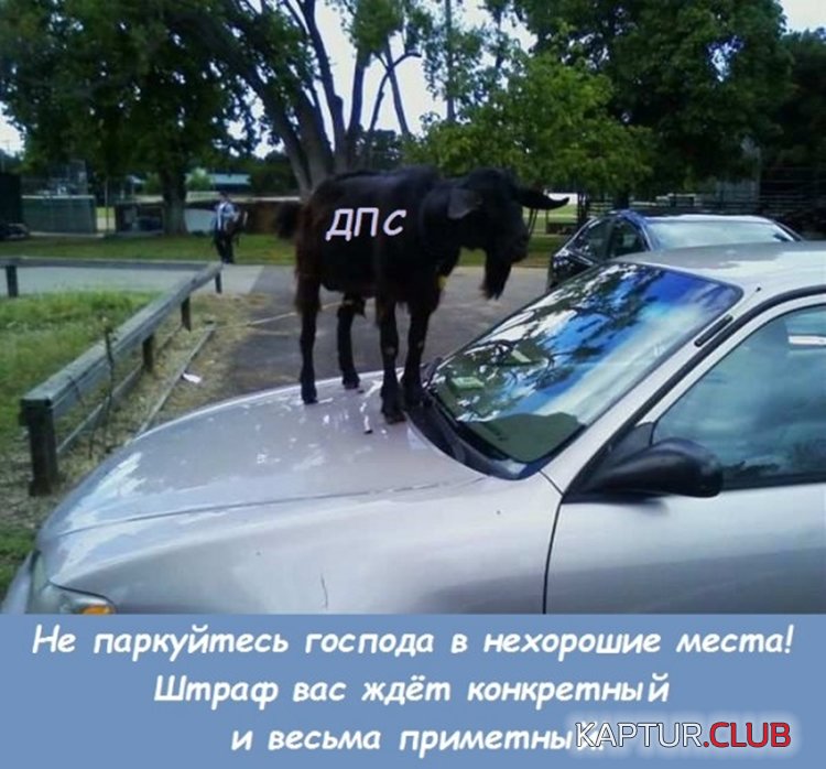 107a30afdd0de61898b20baadf5.jpg | Рено Каптур Клуб Россия | Форум KAPTUR.SU