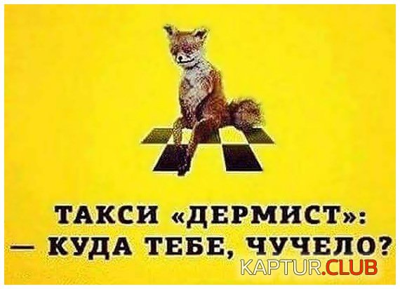 10883734.jpg | Рено Каптур Клуб Россия | Форум KAPTUR.SU