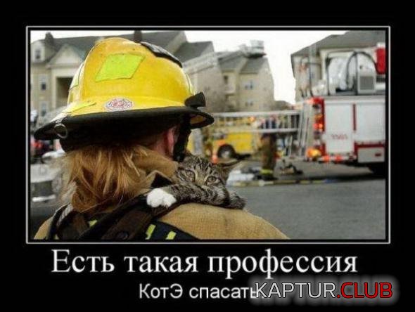 10afc63dd37c8862f22d2ea4932_prev.jpg | Рено Каптур Клуб Россия | Форум KAPTUR.SU
