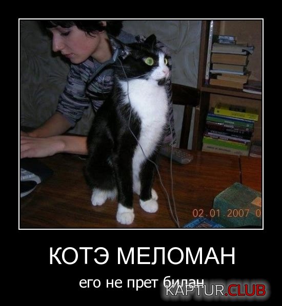10dab55412e925df88c1b4e4c97.jpg | Рено Каптур Клуб Россия | Форум KAPTUR.SU
