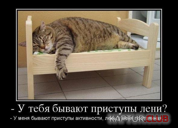 10f3077409b9fc241813cbacf74_prev.jpg | Рено Каптур Клуб Россия | Форум KAPTUR.SU