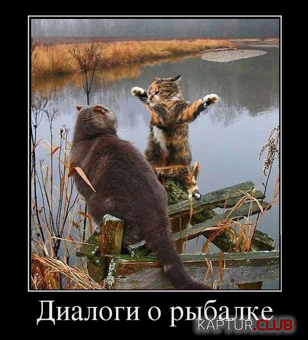 11.jpg | Рено Каптур Клуб Россия | Форум KAPTUR.SU