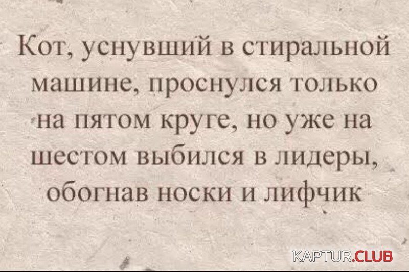 11.jpg | Рено Каптур Клуб Россия | Форум KAPTUR.SU