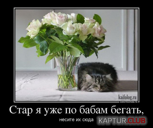 11.jpg | Рено Каптур Клуб Россия | Форум KAPTUR.SU