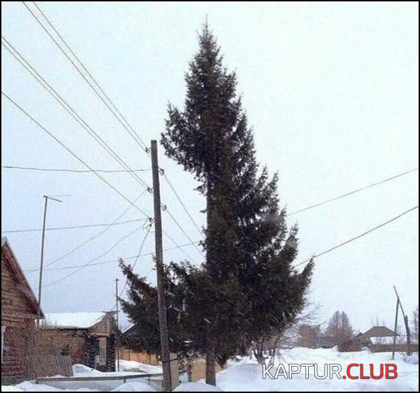 11.png | Рено Каптур Клуб Россия | Форум KAPTUR.SU
