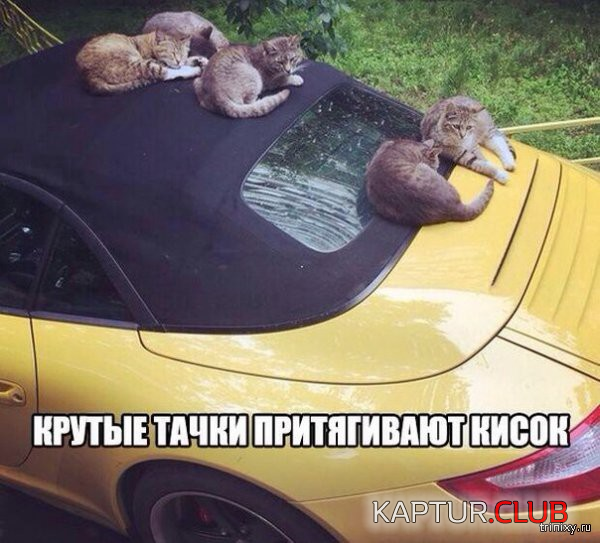11.png | Рено Каптур Клуб Россия | Форум KAPTUR.SU