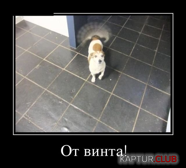 11.png | Рено Каптур Клуб Россия | Форум KAPTUR.SU