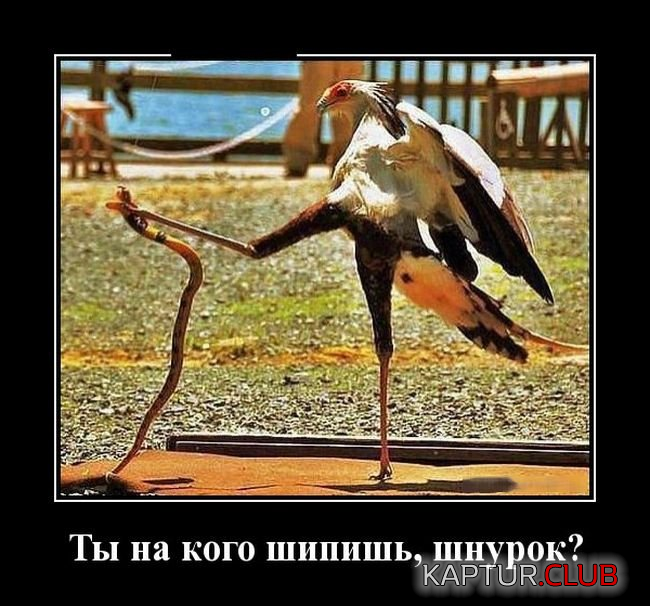 11.png | Рено Каптур Клуб Россия | Форум KAPTUR.SU