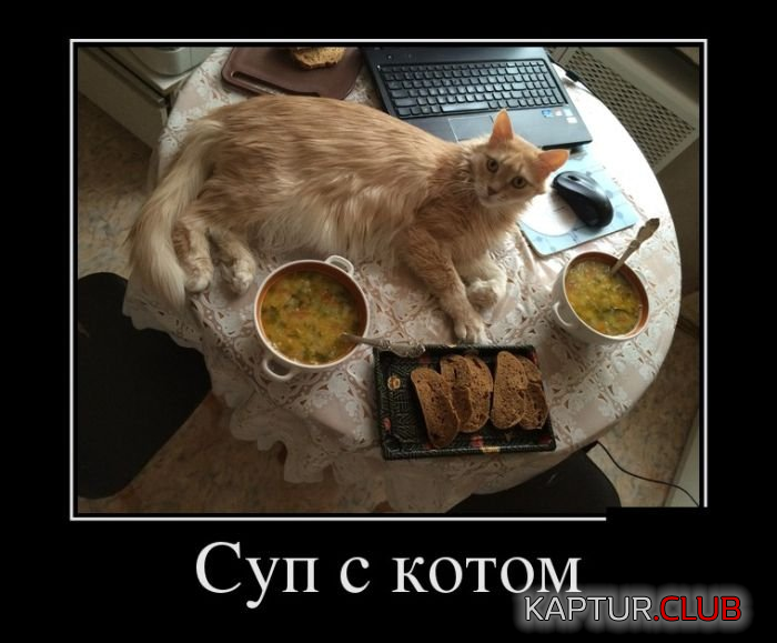 11.png | Рено Каптур Клуб Россия | Форум KAPTUR.SU