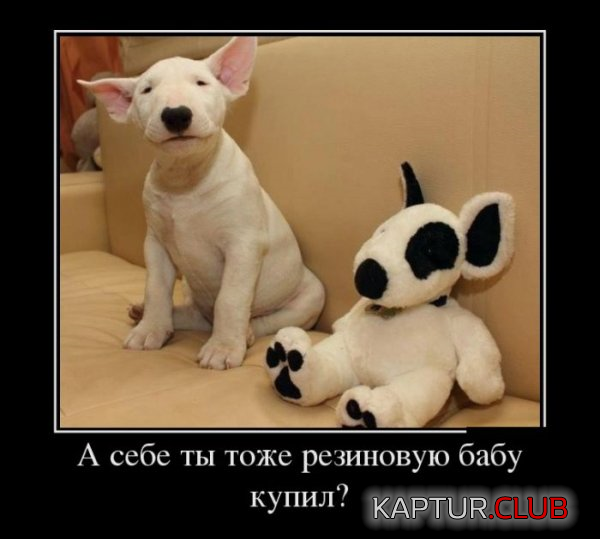 11.png | Рено Каптур Клуб Россия | Форум KAPTUR.SU