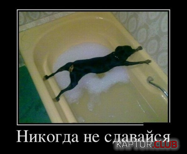 11.png | Рено Каптур Клуб Россия | Форум KAPTUR.SU