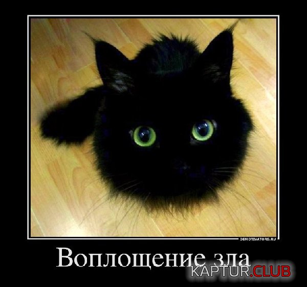 110713-2.jpg | Рено Каптур Клуб Россия | Форум KAPTUR.SU