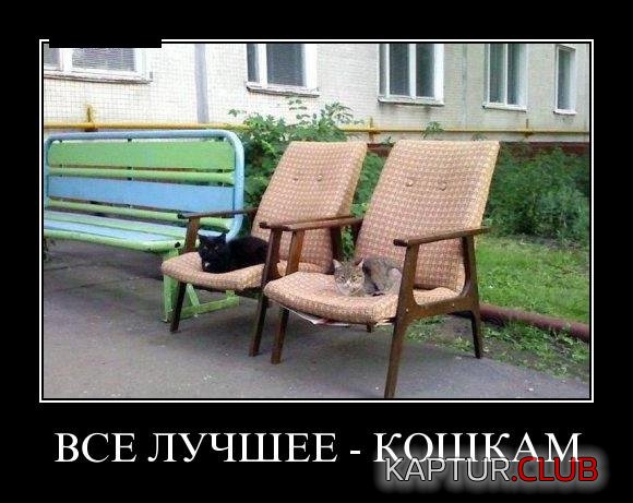 1109ecce906459d3051e1638a76.jpg | Рено Каптур Клуб Россия | Форум KAPTUR.SU