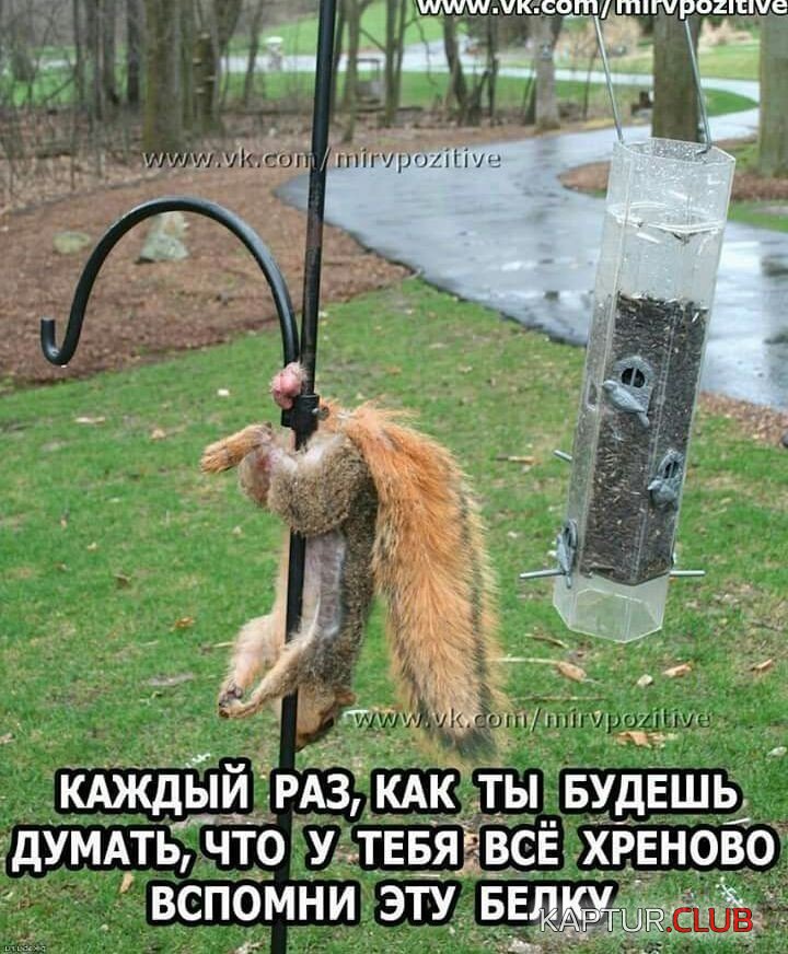 111.jpg | Рено Каптур Клуб Россия | Форум KAPTUR.SU