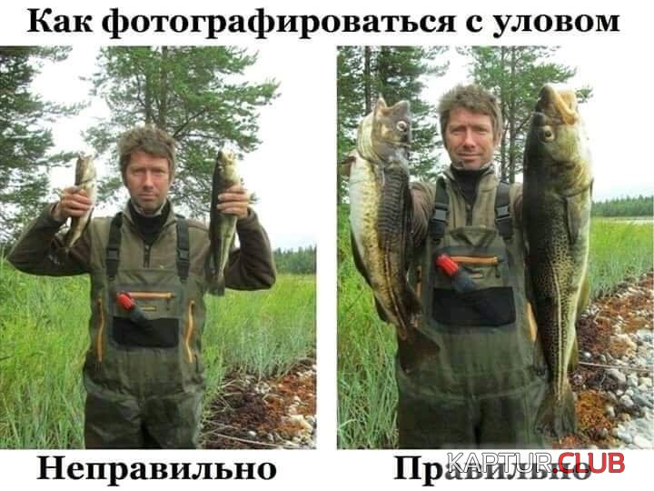 1111.jpg | Рено Каптур Клуб Россия | Форум KAPTUR.SU