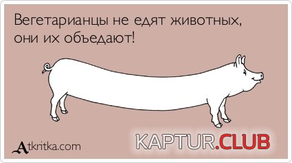 113bc01f341c2e926b38026cbee.jpg | Рено Каптур Клуб Россия | Форум KAPTUR.SU