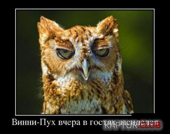 114cffed4b1cb324c8fac155c0d_prev.jpg | Рено Каптур Клуб Россия | Форум KAPTUR.SU