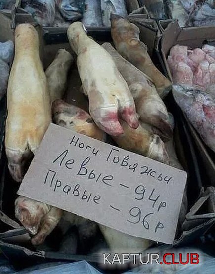 11692883.jpg | Рено Каптур Клуб Россия | Форум KAPTUR.SU
