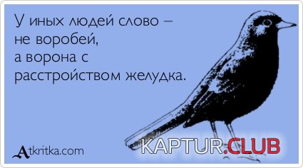 116c3a7a6d23b7c56e2da5c6422.jpg | Рено Каптур Клуб Россия | Форум KAPTUR.SU