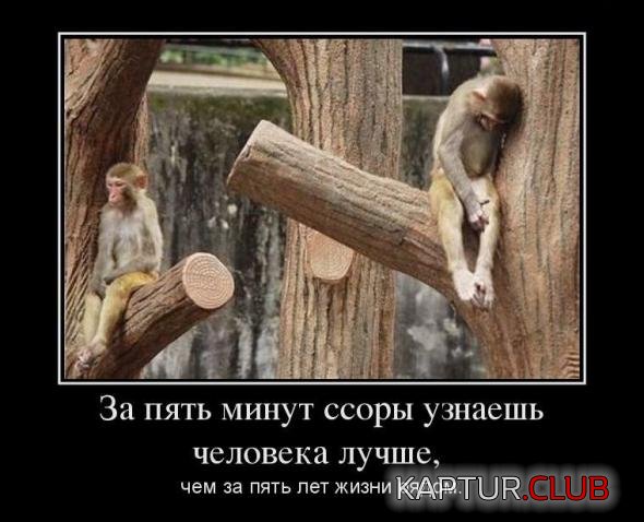 117b2cf9c392b0ee5c6a69f9681_prev.jpg | Рено Каптур Клуб Россия | Форум KAPTUR.SU