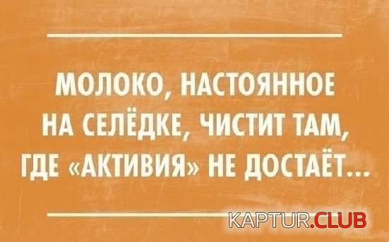 12065668_937520582980051_7712869886988137967_n.jpg | Рено Каптур Клуб Россия | Форум KAPTUR.SU