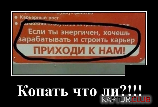 1217.jpg | Рено Каптур Клуб Россия | Форум KAPTUR.SU