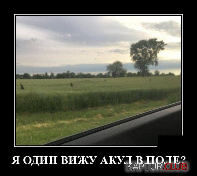 1219.jpg | Рено Каптур Клуб Россия | Форум KAPTUR.SU
